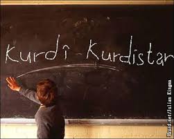 Online learning in Kurdistan and some comments